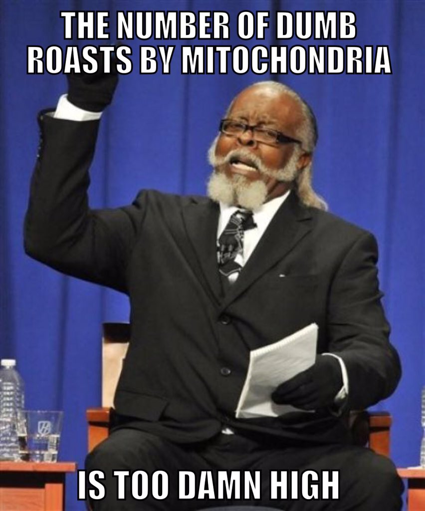 YABOYLYSOSOME's tweet photo. @MitoChonSlayah1 https://t.co/Qq4RsJIM8N