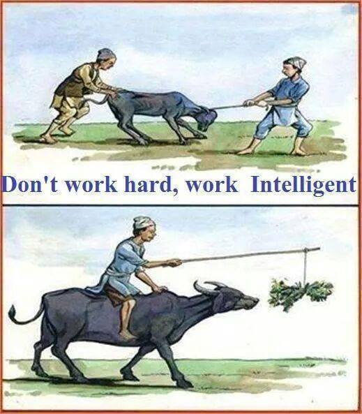 selfdiscovery7's tweet photo. #fun #workintelligent https://t.co/maB939Ykcu