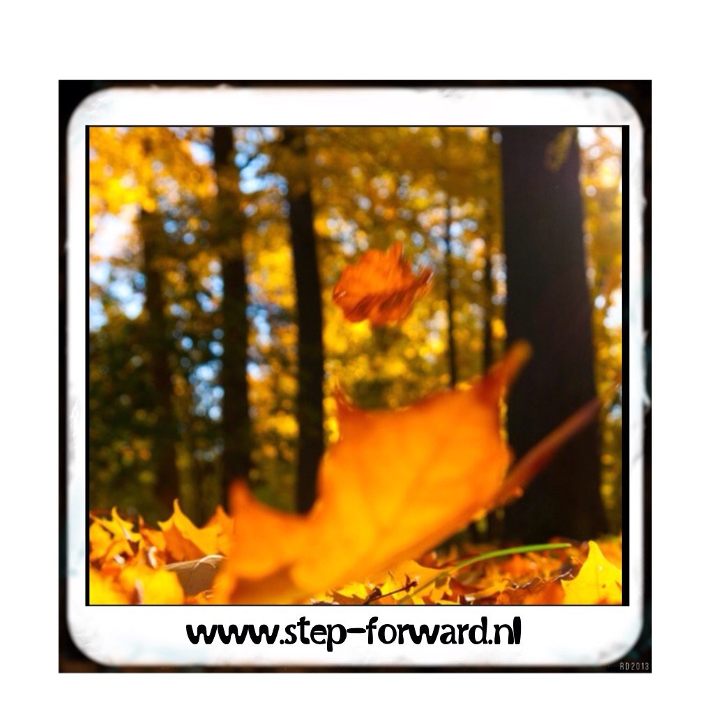 steperopuit's tweet photo. Step de prachtige herfstkleuren tegemoet in het #sonsbeekpark in #arnhem
@Molenplaats @RBTKAN https://t.co/UWA6AZvRSz