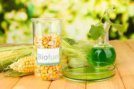 Millennium_EU's tweet photo. SUNNY EARTH MINERALS Ltd. About us https://t.co/1pagxXTsn6 #BleachingEarth for the #refining of Mineral/edible #Oil https://t.co/38Re5o9wC9