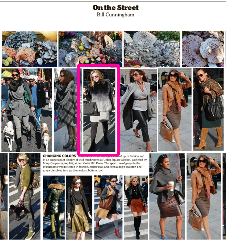 Annabelle_NY's tweet photo. Did you catch @TierneyModel in her Annabelle fur vest spotted On The Street by @NYTStyles  #nyc #fashion #style https://t.co/Z5Jeg75tit