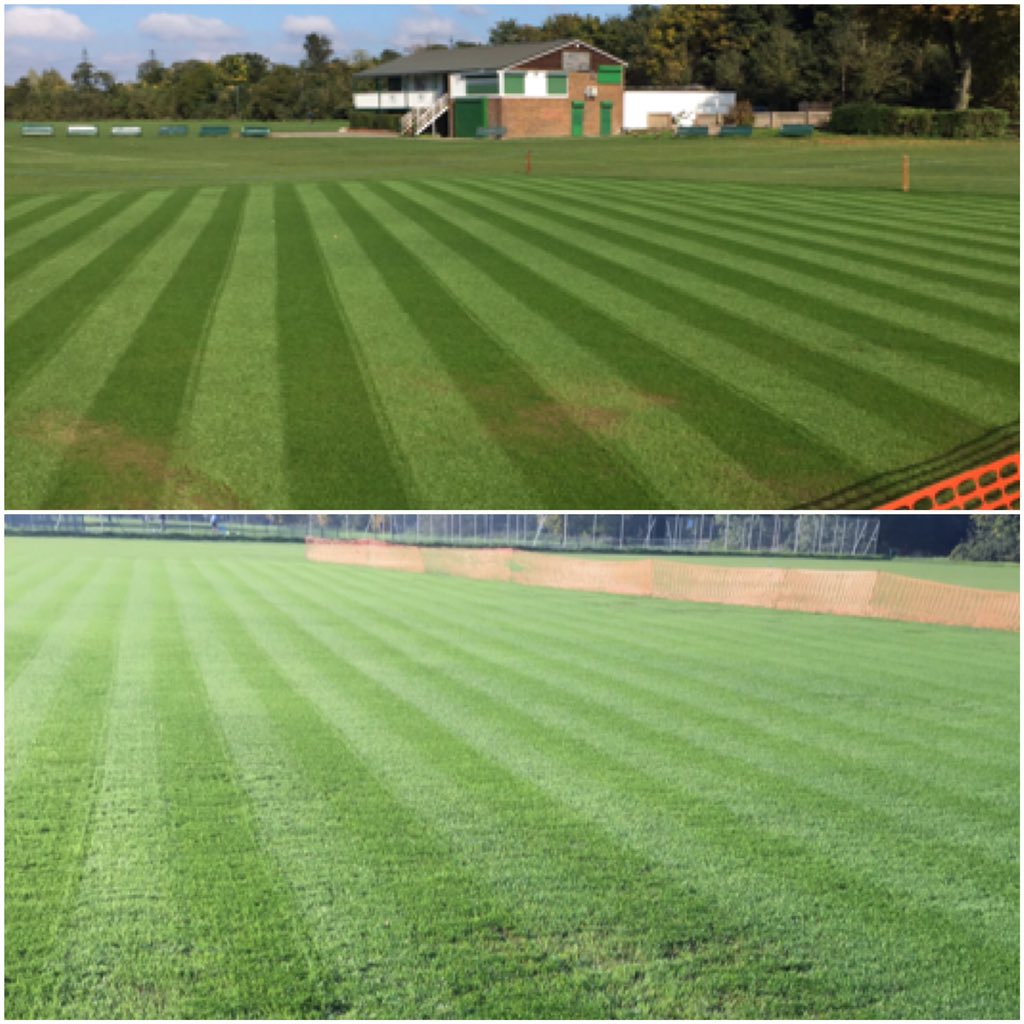 First cuts for squares since renovations at <a href="/beddocc/">Beddington Cricket Club</a> today! 3 weeks old, very happy with it!