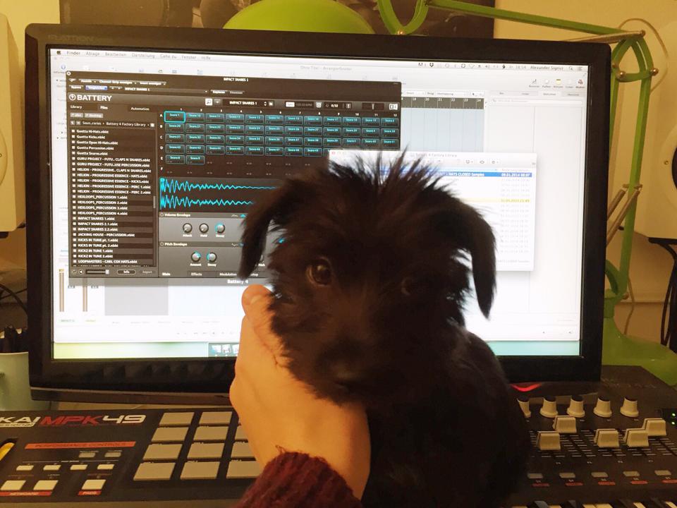 DJAlexPrice's tweet image. It's hard to work when you get observed!