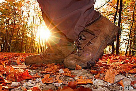 Heerlijk wandelweer deze week! Kijk voor gratis wandelroutes op trv-bernheze.nl/gratis-wandelr…