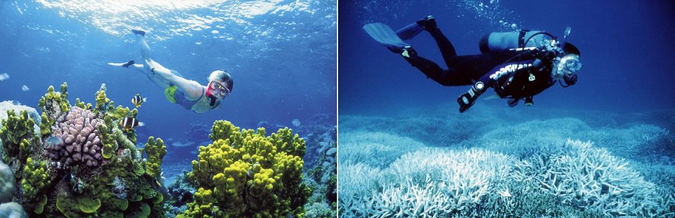 Earthjustice's tweet photo. Before-and-after pictures show the harsh effects of #climatechange> https://t.co/yhqbCPuqEx https://t.co/36exSqJi00