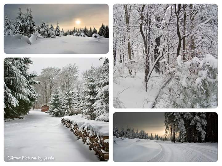 Helper_Santa's tweet image. 