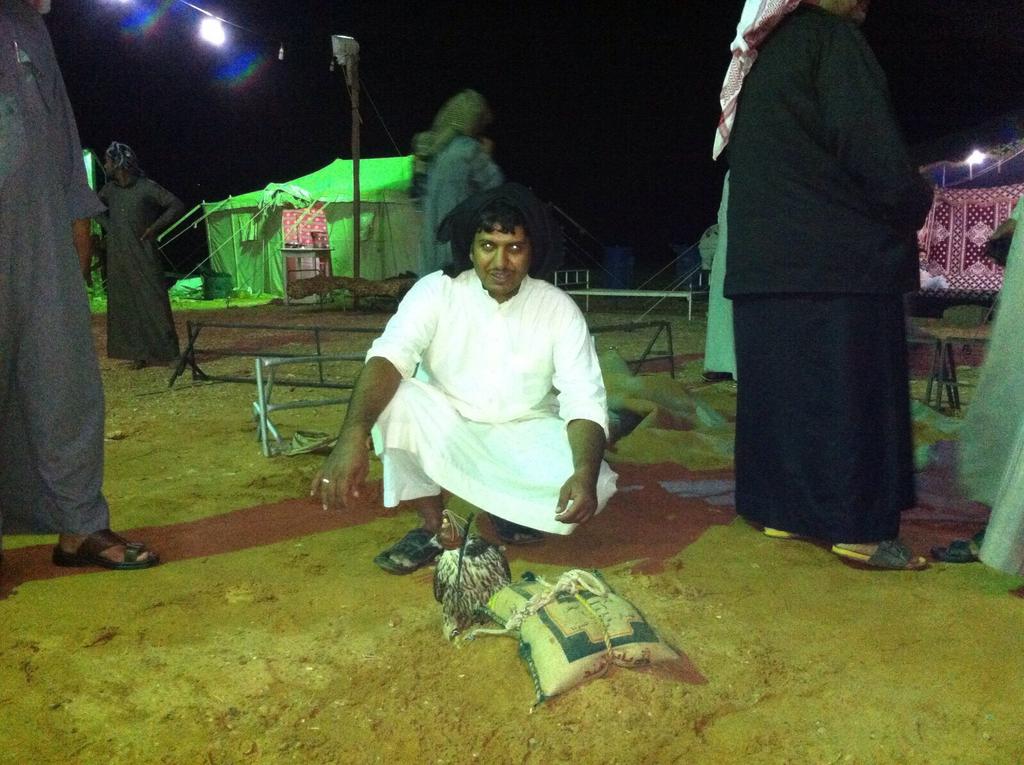 naif5567's tweet photo. طرح اليوم العصر فرخ شاهين عند وايل مسير الصقري ومجموعتهم https://t.co/jfwae8d6jJ