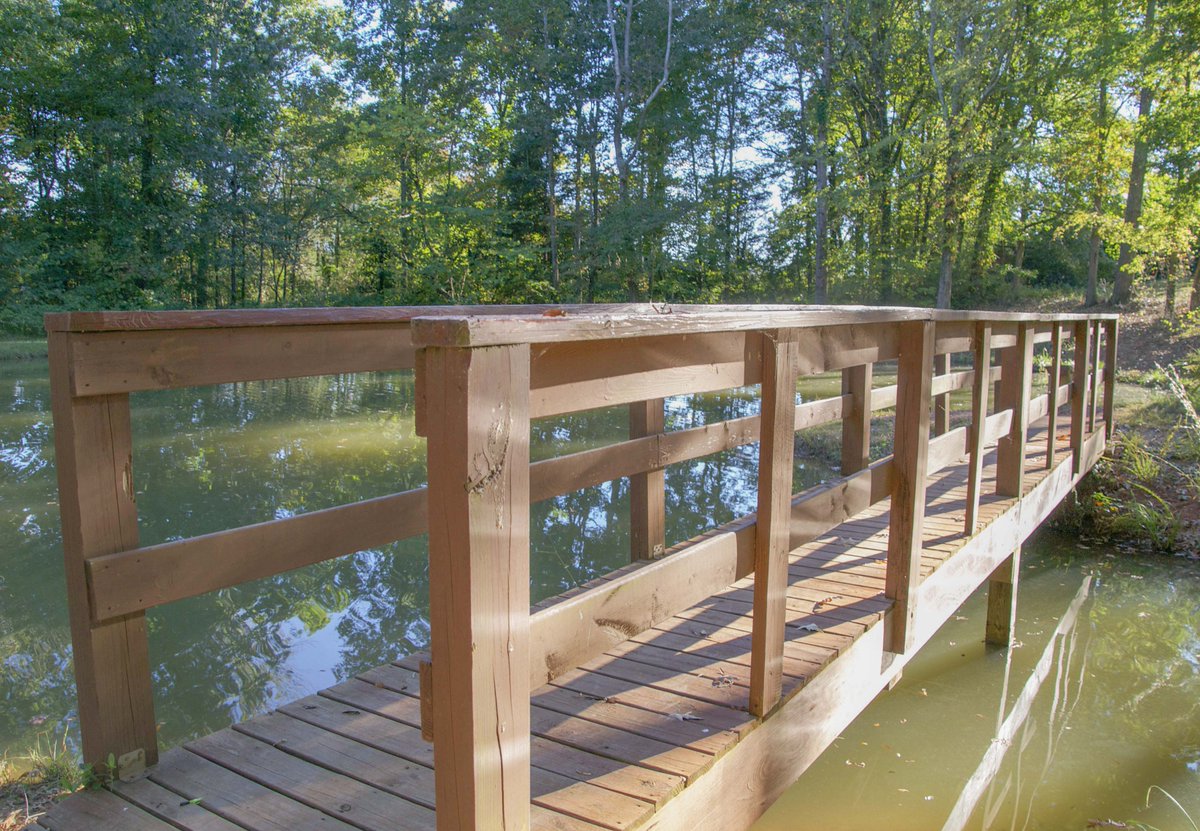 SweetwaterKOA's tweet photo. The bridge over our fishing pond looks lovely this time of year. What do you think of the view? https://t.co/j2ntilw0yj