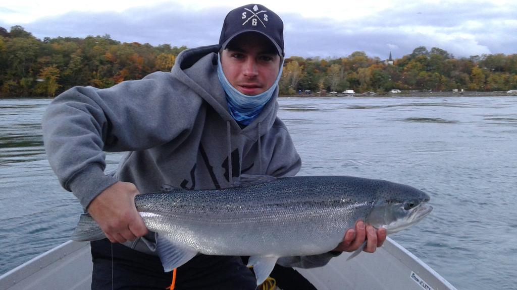 Dan Trozzi tweet media