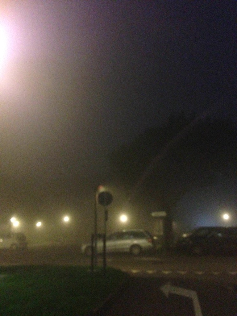 SariMattia's tweet photo. Non mi mancavi proprio...#nebbia https://t.co/GDMLCVn1dY