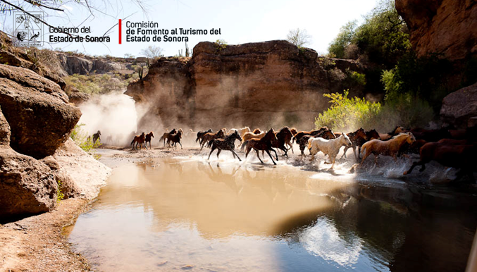 VisitSonora's tweet photo. Cucurpe nos invita de excursión, exhibiéndonos su abundante naturaleza. #VisitaSonora https://t.co/VmLathtcrs