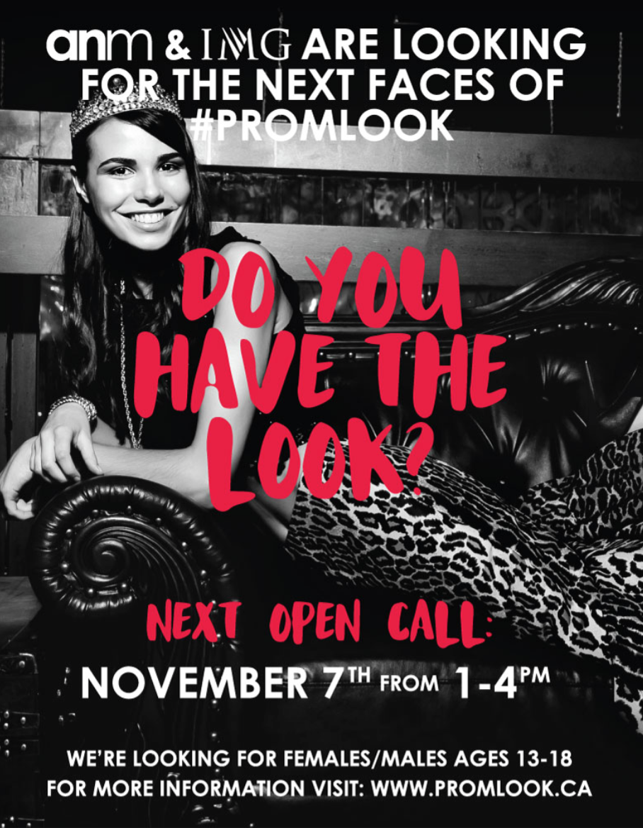 ANModels's tweet photo. WINDSOR: DO YOU HAVE THE LOOK? The 1st #PromLook16 open call hits @devonshiremall HBC on Sat Nov 7th! @cityofwindsor https://t.co/SUqU9KA5fP