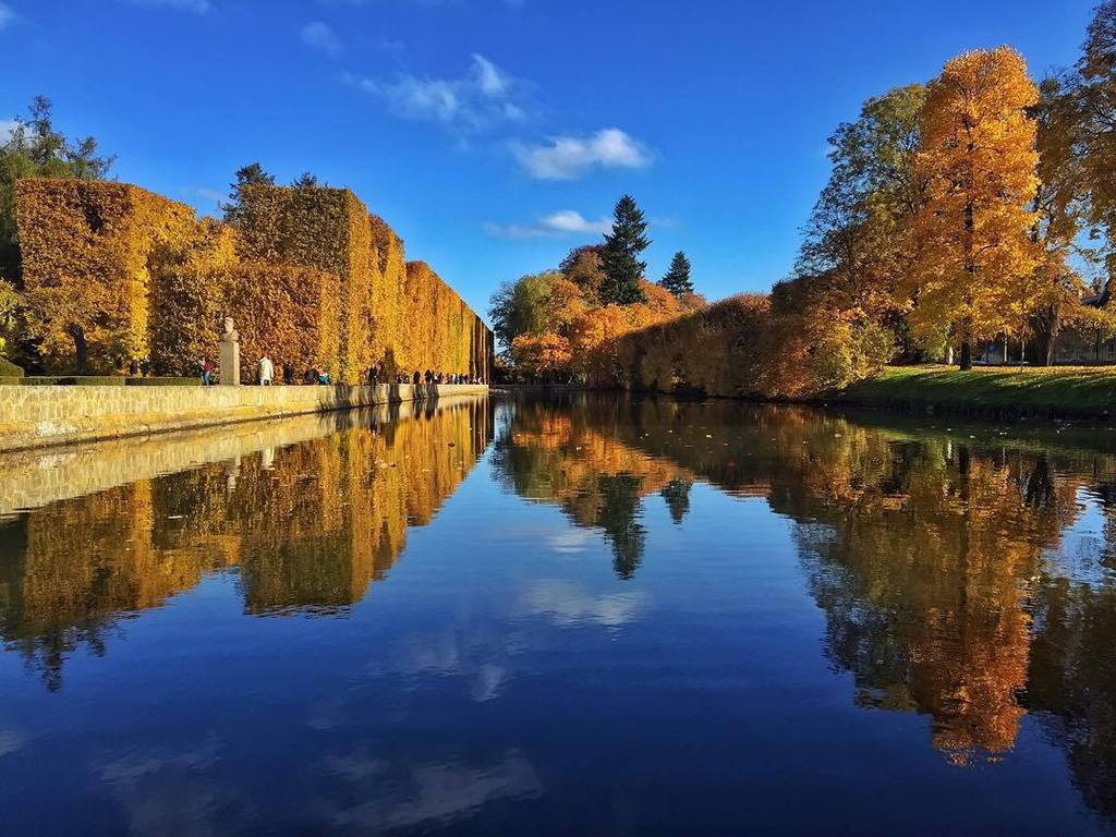 djmon1que's tweet photo. #gdansk #fiftyshades_of_nature #MobilnyTydzien52 #mobile_perfection #autumndays #autumn #i… https://t.co/FjaBfbI73Q https://t.co/xmxvtkyB4j