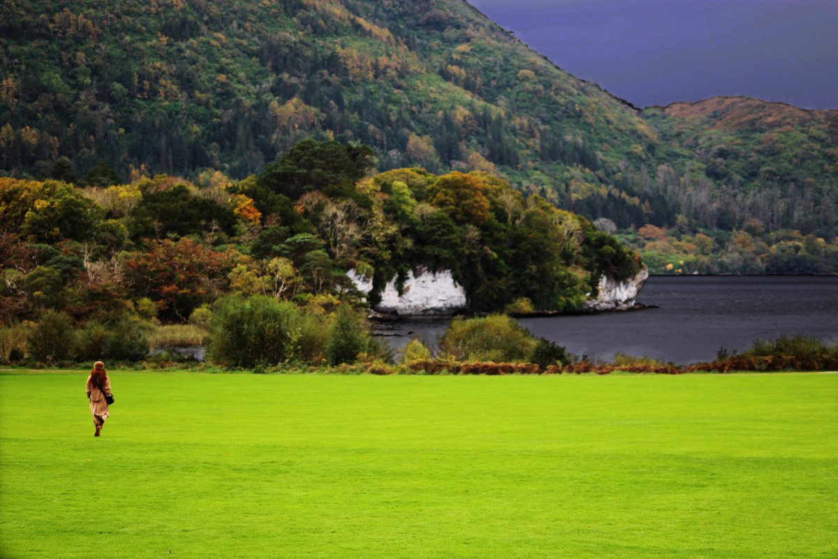 CitPhotoSoc's tweet photo. Great day had by all yesterday on the Killarney trip. Can't wait for the next one. https://t.co/X1RKXoZZOb