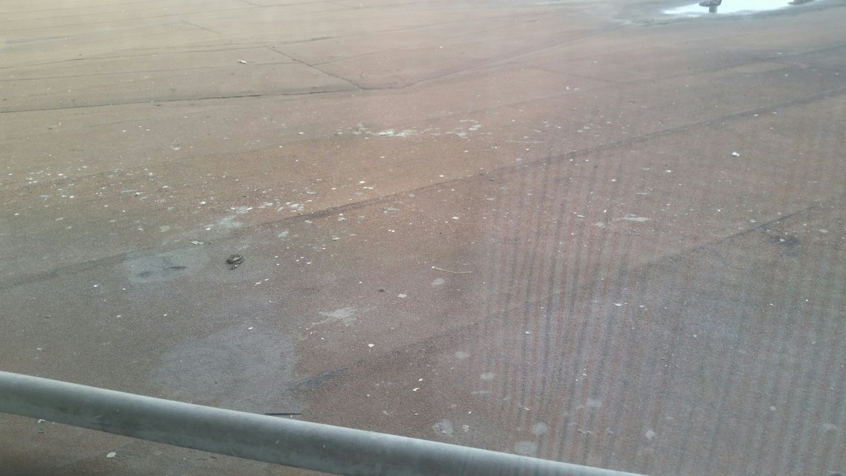 Ray-Lin Dairy tweet media