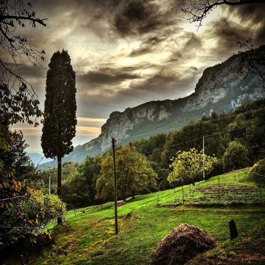 biciversilia's tweet photo. RT @WeTuscany: L'opulenza della natura apuana.

#camaiore #matanna #prana #lombrici #casoli #lucca #igerslucca  https://t.co/CwukjPrHwm
