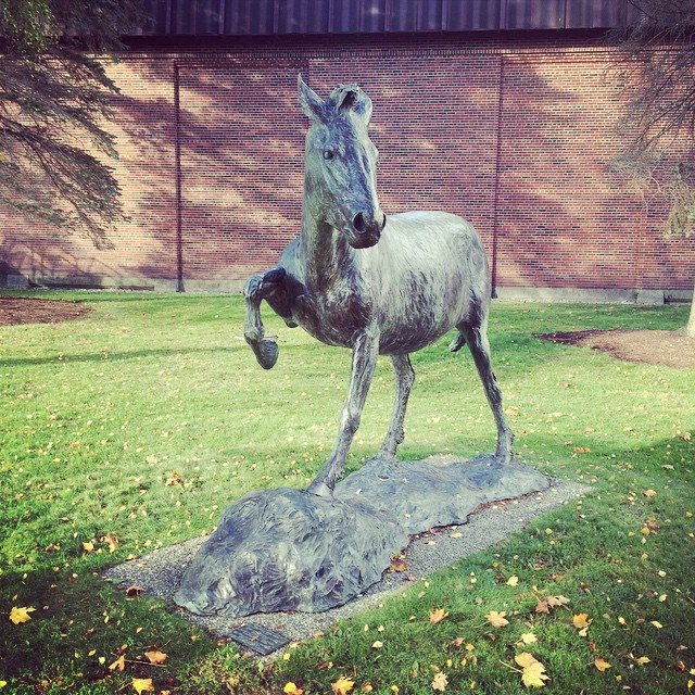 Hey, Mules, today's your day. It's #NationalMuleDay. How are you going to celebrate? en.wikipedia.org/wiki/Mule_Day