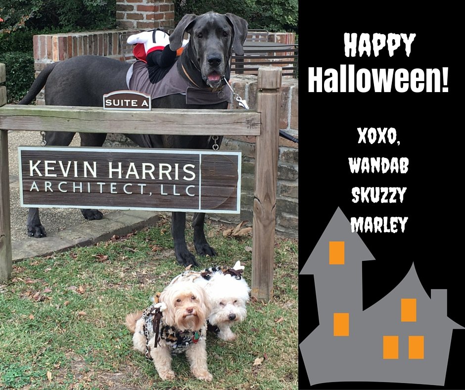 archipets's tweet photo. The Archipets model their Halloween costumes! Check out the Headless Horseman, Pebbles &amp; BamBam! https://t.co/Z2B9uMvJ2Z