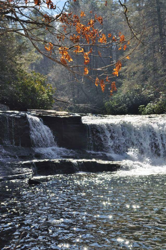 WLOS_13's tweet photo. GALLERY: Some of the best Fall photos from #WNC https://t.co/7P1x3oWcd3 #ThanksViewers! https://t.co/zEBhUR5X5C
