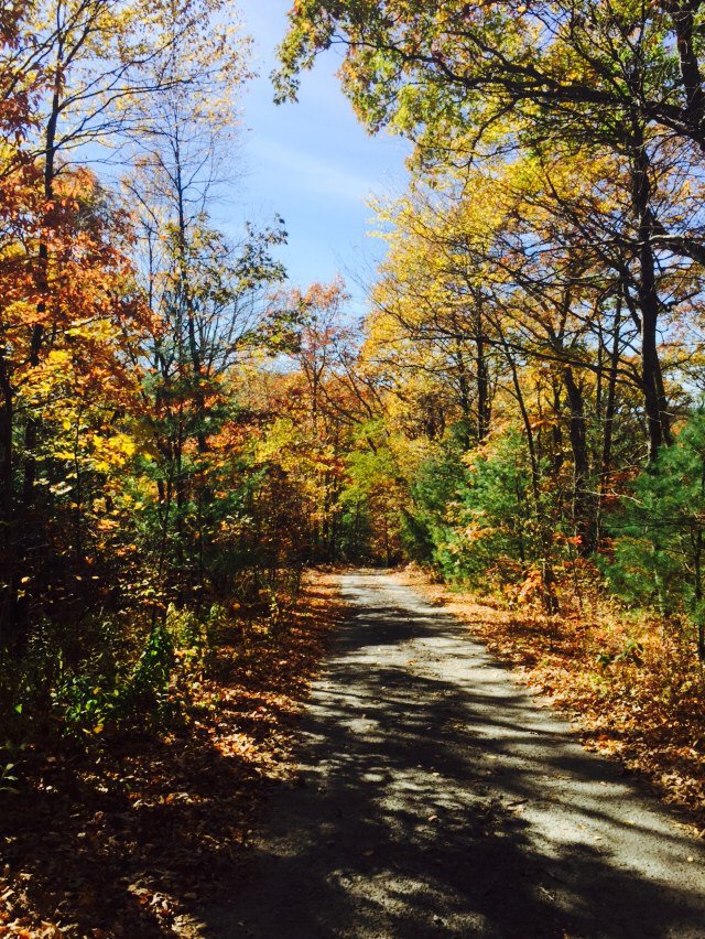 WLOS_13's tweet photo. GALLERY: Some of the best Fall photos from #WNC https://t.co/7P1x3oWcd3 #ThanksViewers! https://t.co/zEBhUR5X5C