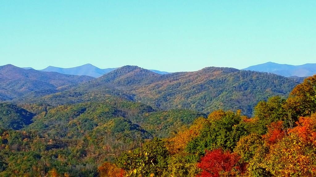 WLOS_13's tweet photo. GALLERY: Some of the best Fall photos from #WNC https://t.co/7P1x3oWcd3 #ThanksViewers! https://t.co/zEBhUR5X5C