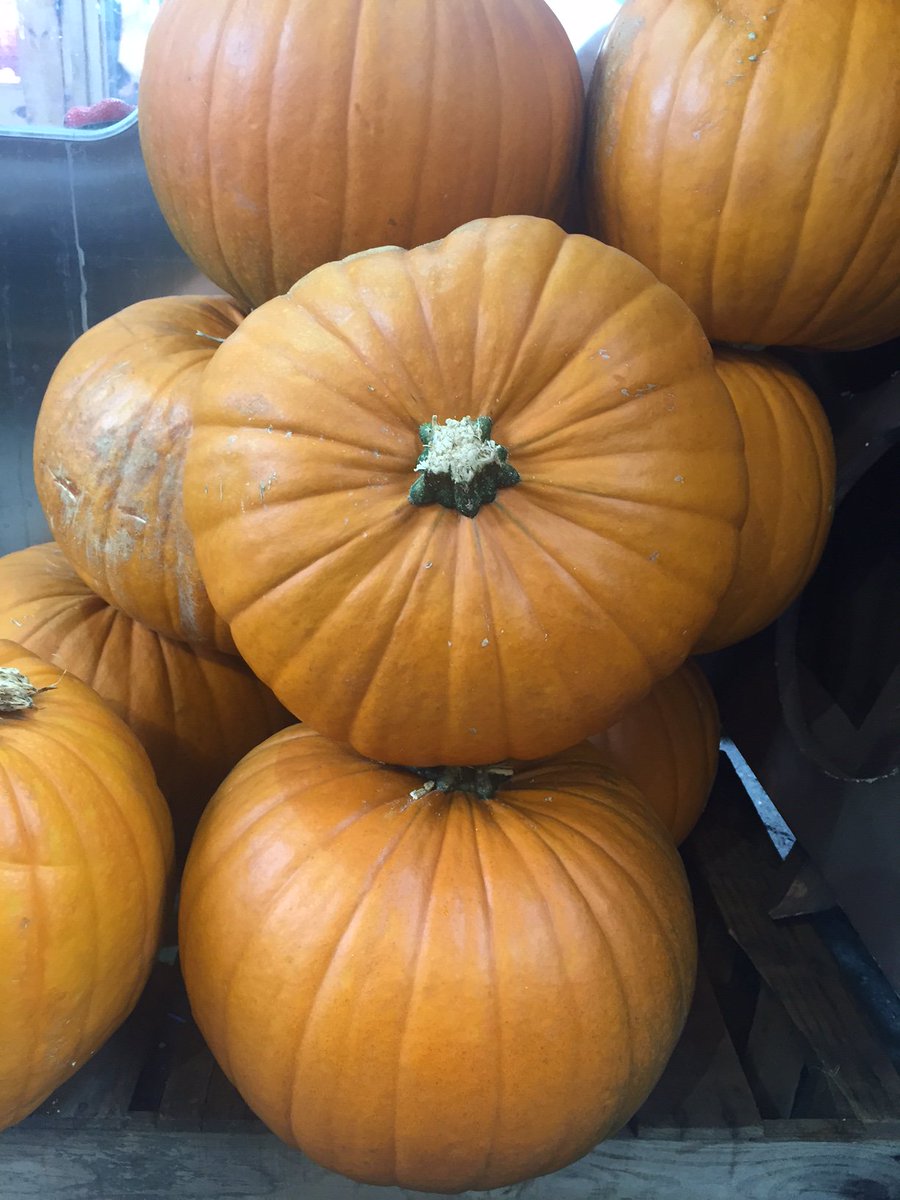 BlackerHallFarm's tweet photo. Have you got your Pumpkin ready for #Halloween yet? You can always pick one up from The Farm Shop. https://t.co/PIMLBGrK0k