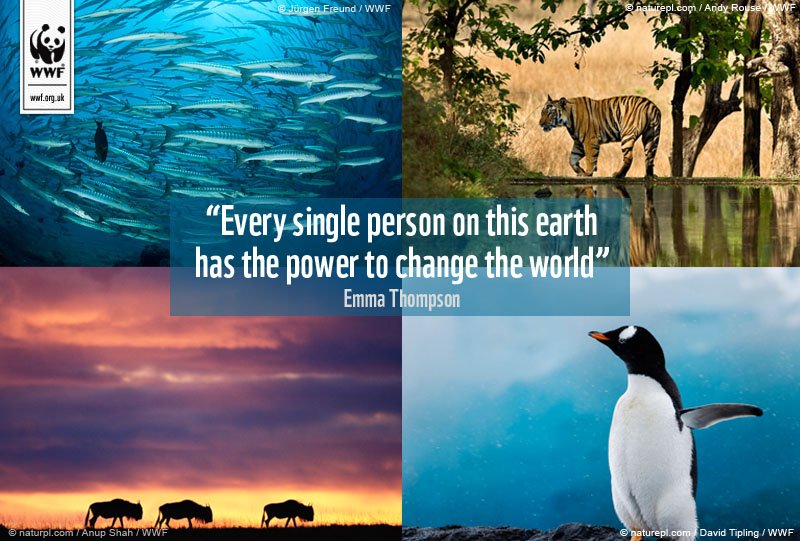 "Every single person on this earth has the power to change the world." - Emma Thompson #MondayMotivation