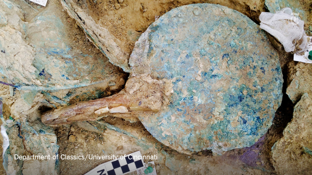 nytimes's tweet photo. A warrior's grave, rich with treasure, just underfoot but untouched for 35 centuries https://t.co/HADULIiePE https://t.co/9ncO0TWjPD