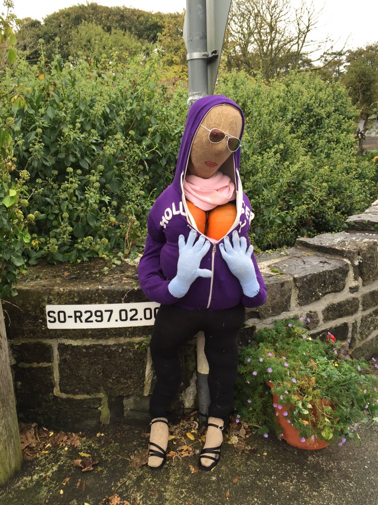 easkeyscarecrow's tweet photo. #easkeyscarecrowfestival #sligo #easkey https://t.co/eO7FPSE5o7