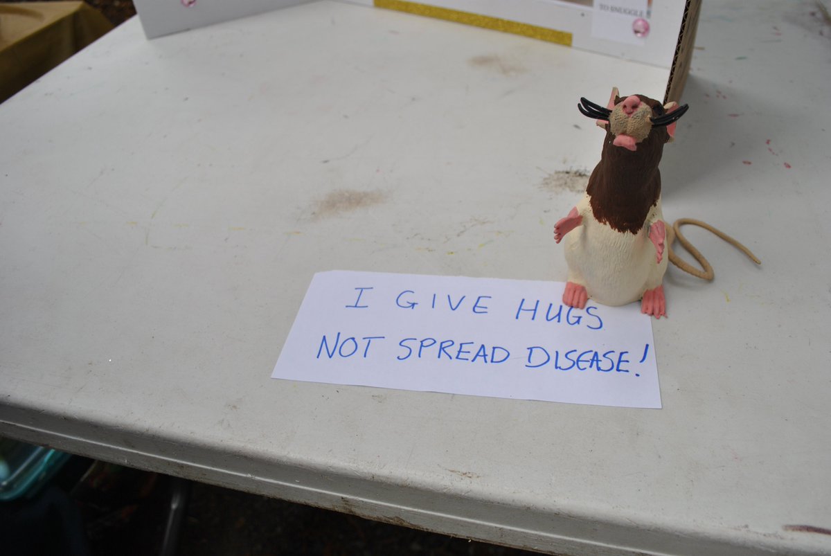 Thanks to <a href="/BCSPCA_Nanaimo/">BC SPCA Nanaimo</a> for busting the myths about rats at #spooktacular! #mythbusters #herorats #adopt #ns3