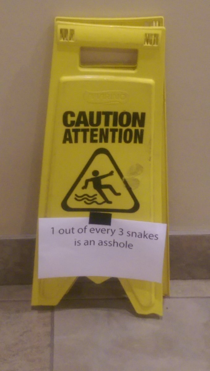 1 out of every 3 snakes is an asshole.