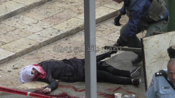 saidshouib's tweet photo. In less than 24 hrs,4 Martyrs shot by IOF in #Hebron
Dania Irshed 19
Raed Jaradat 22
Sa'd Atrash 19
Eyad Jaradat 19 https://t.co/Vr7Fbws9YE