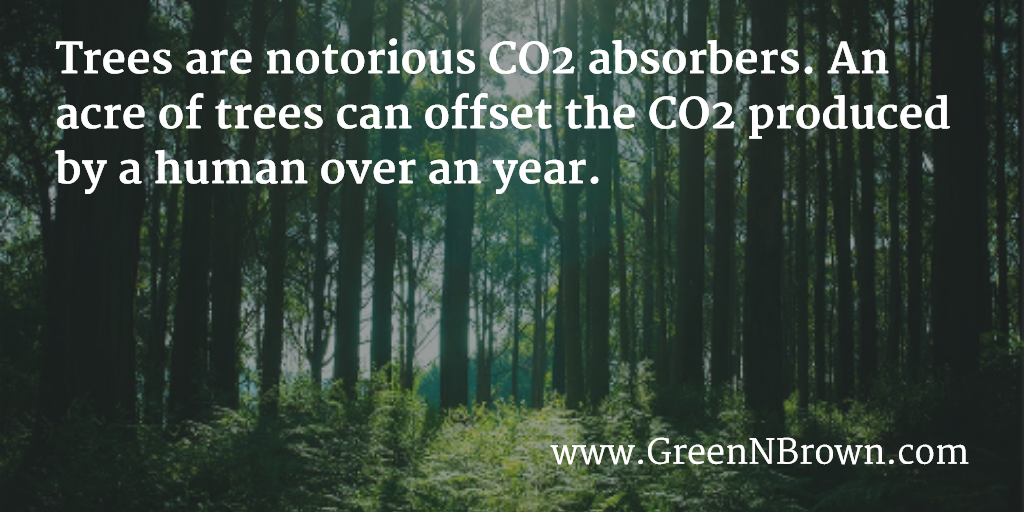 Green N Brown tweet media