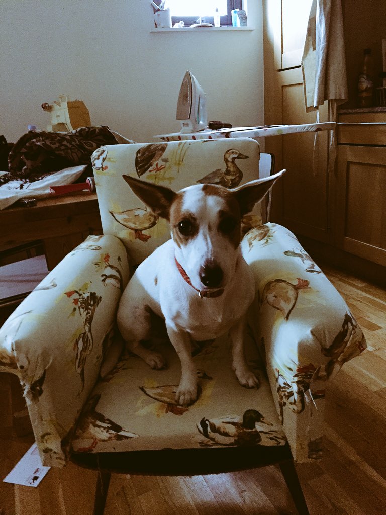 The finished product by @pflsoundslike .Duck upholstered child's chair. Kev loves it 🐶 #homemade #theboysgotskills