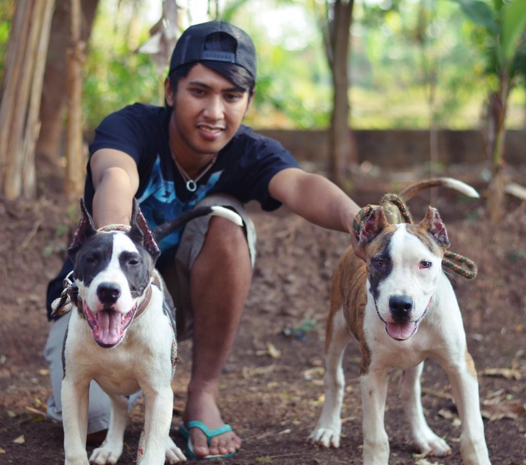 blackdecry's tweet photo. Anjing aja mahal ko kamu murah (monet &amp; barnez) https://t.co/i3CLKSj52e