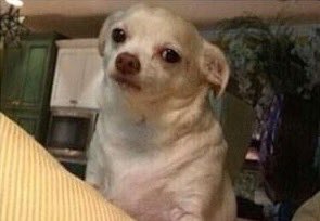 lmaonda's tweet photo. when ur life was literally threatened but teachers still gonna have tests the next day https://t.co/amM1pRkiVx