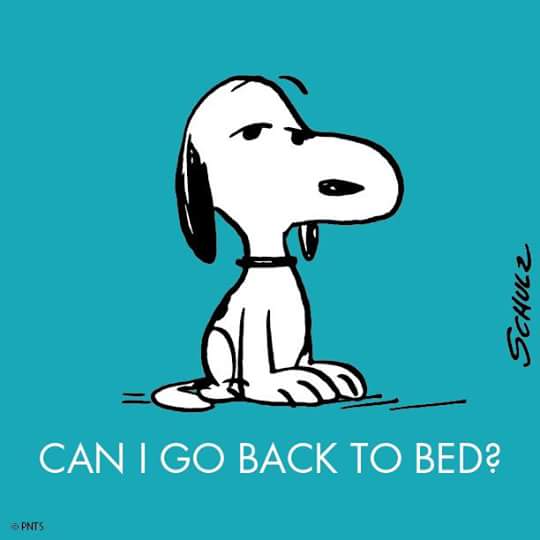 snugasabug809's tweet image. 