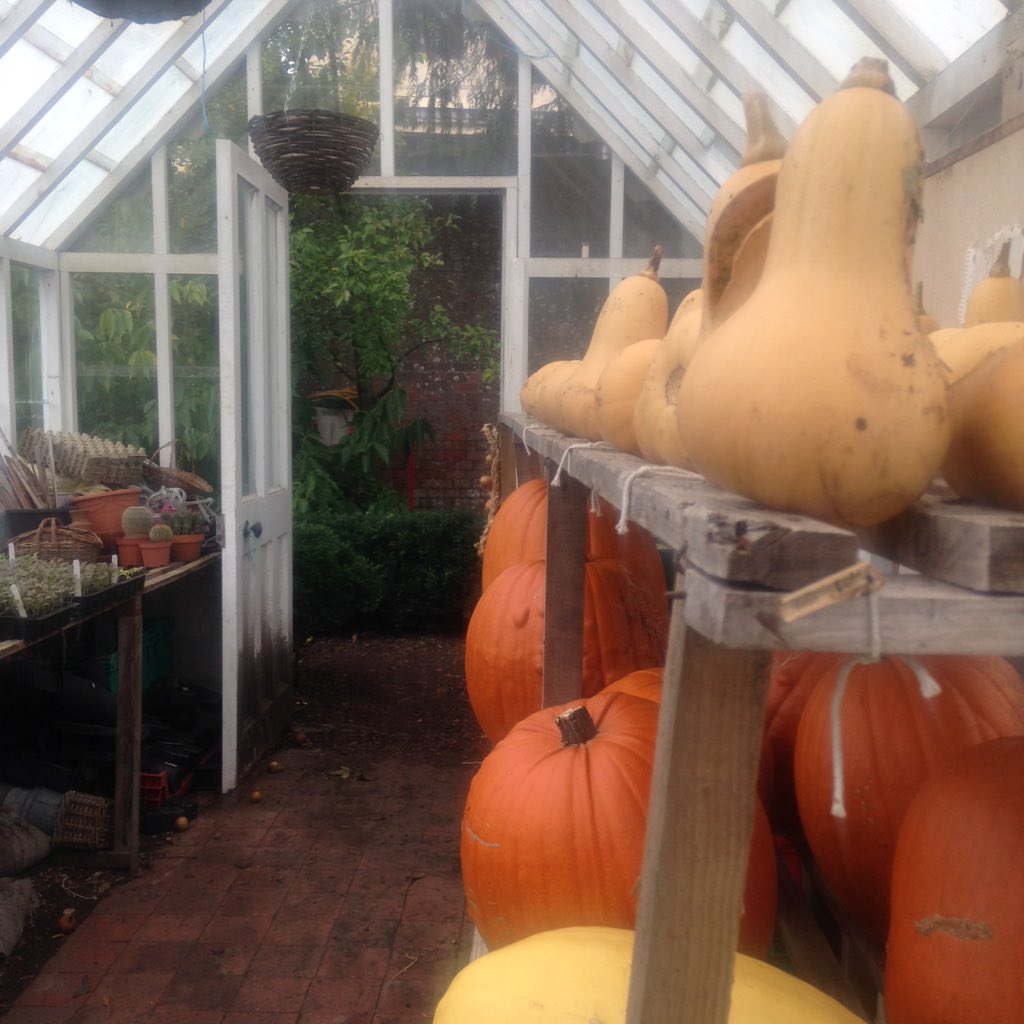 deans_court's tweet photo. Who's got their pumpkins already? We've certainly got ours! @Dorset_Hour #Halloween #pumpkins https://t.co/nwzykAJA8o