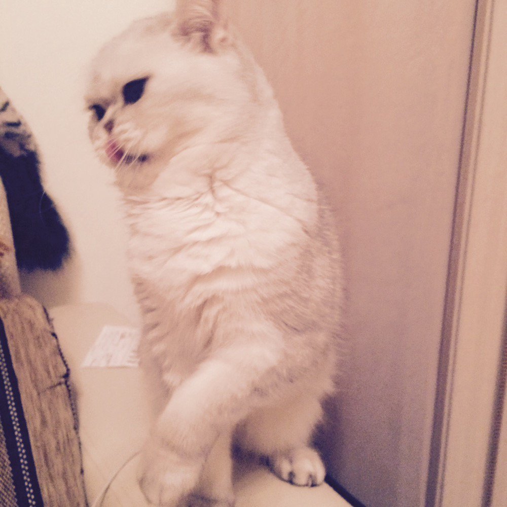 directioner_mos's tweet photo. Ur face when he tells you ty instead of thank you @Doruk_Coskun https://t.co/NfPKV0fDcR
