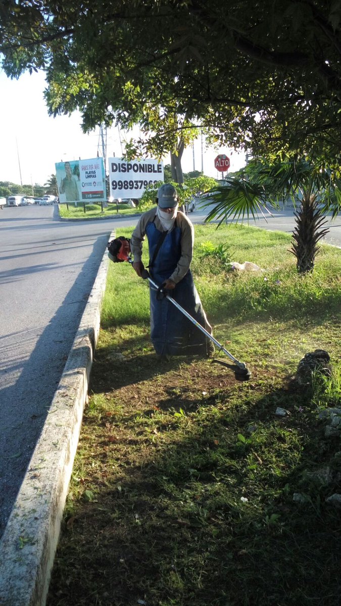 EmmanuelZetina's tweet photo. La direccion d @Parques_BJ realiza los trabajos de limpieza de camellones en #Av20deNov @AytoCancun @PaulCarrillo2 https://t.co/kJaK4FRsGQ