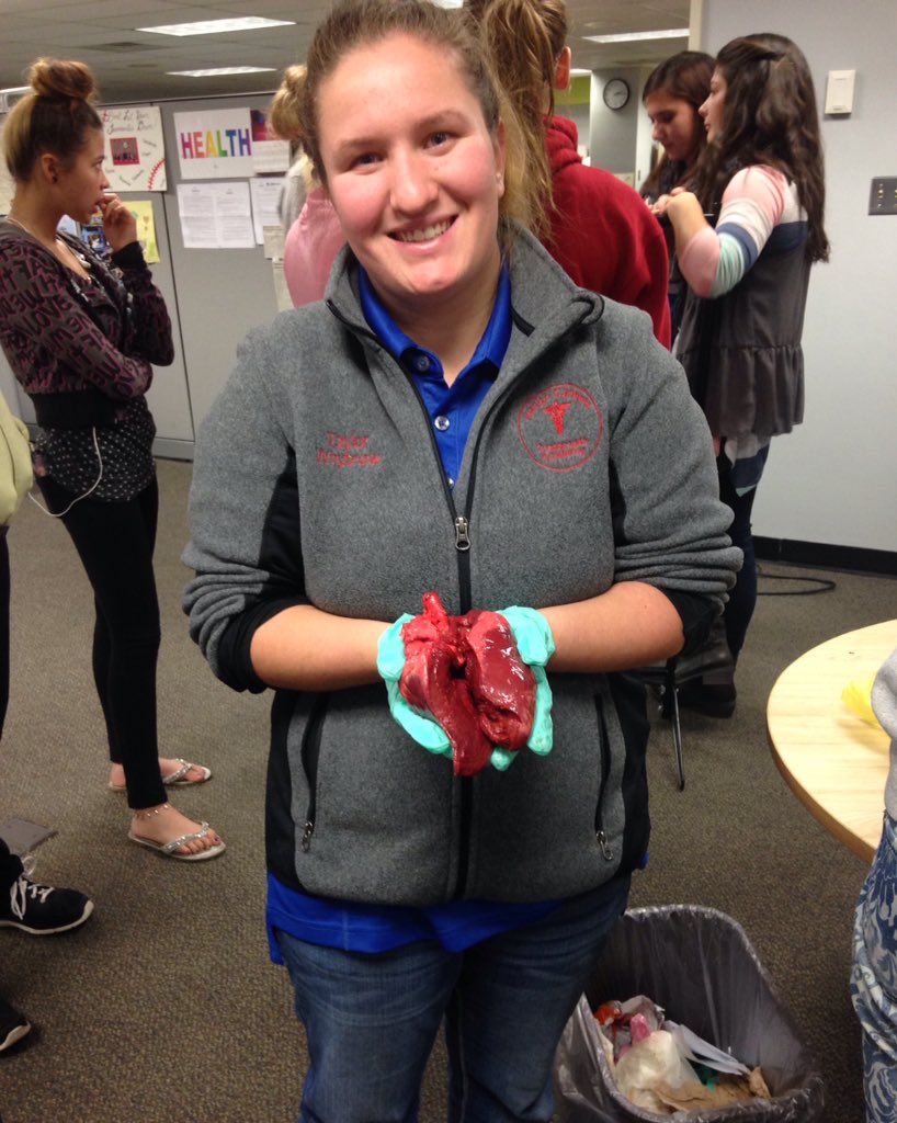 tay_whybrew2016's tweet photo. Got to hold a real deer heart today and learn about it as well. Pretty cool! #phslearns #vocational #nursing https://t.co/1hDLmZRtcM