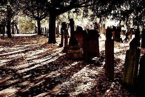 MPW_Pix's tweet photo. As #65x65 comes towards its end, shadows of mortality
https://t.co/eNx4Rct09V
#photography #artphotography #fineart https://t.co/7vaZpNHxzY