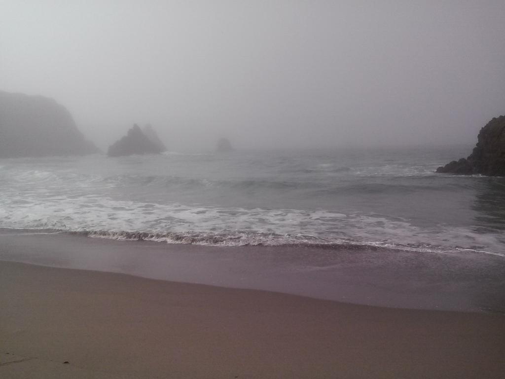 goobie2014's tweet photo. @rhyminsimongr I wents tu da beach tuday! Spotted Zombie Sea Gulls! RRraraaAA! #simons10bday https://t.co/FosQJ39BDa