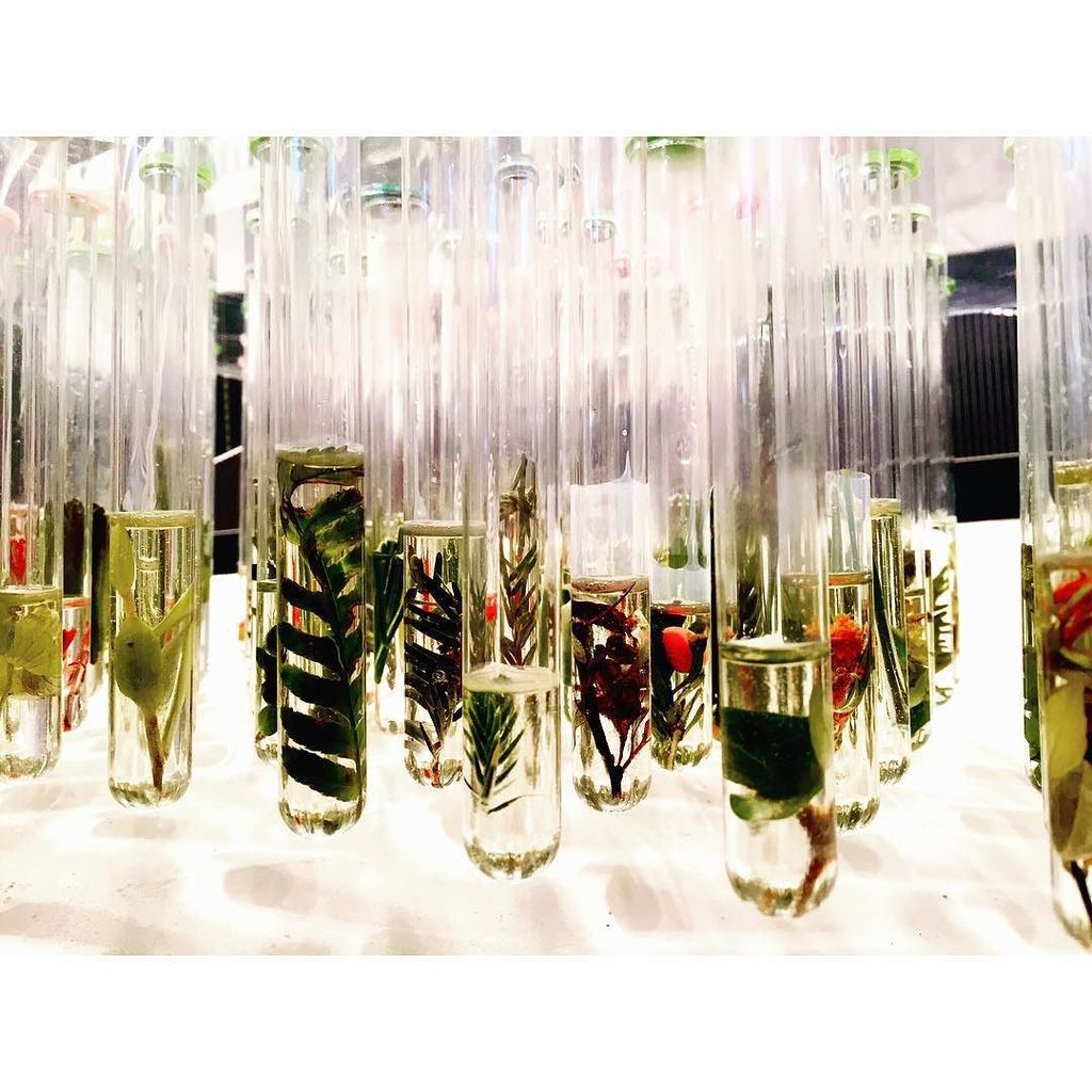 bestofprinceton's tweet photo. architectural specimen 🔬
#architecture #architecturemodel #flora #testtube #midreview #pr… https://t.co/ksTqC8lXx1 https://t.co/Wbvlr7WDNm