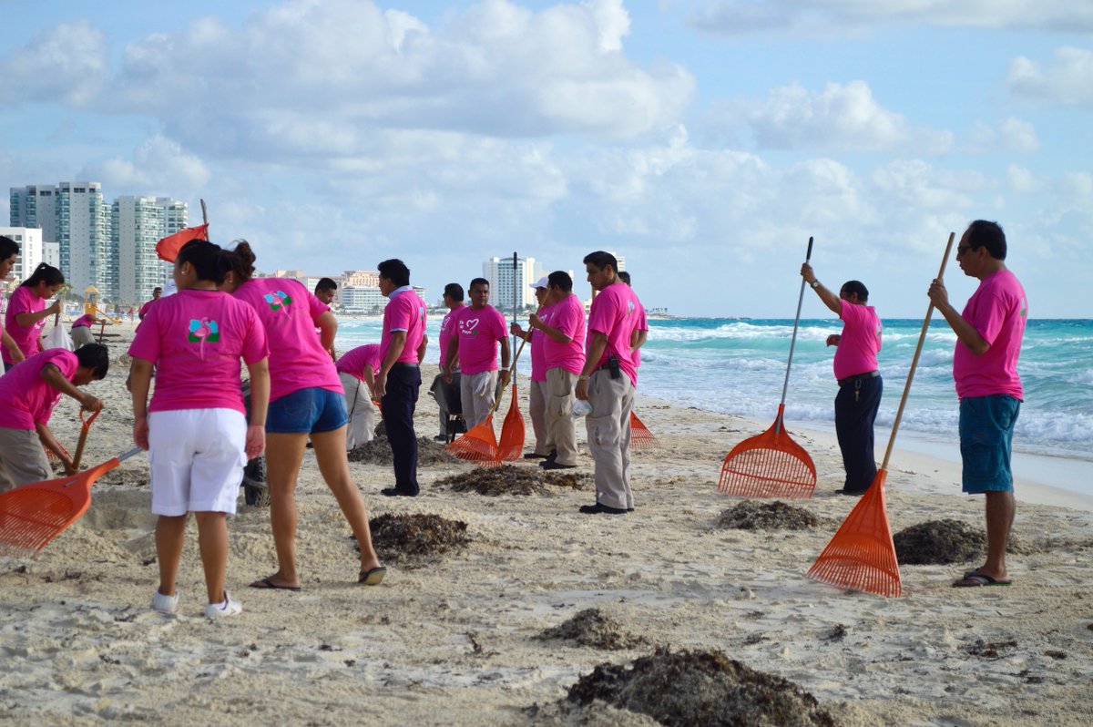 FlamingoNews's tweet photo. @cancunmio Limpieza de Playa en ROSA, Flamingo Team, se une a la causa, Oct. mes de lucha vs el Cáncer. https://t.co/Zecehludza