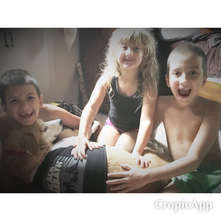 RaelynNelson's tweet photo. The Youngins!!!! ... @muttmerch #blacklabbath #dogs #blacksabbath #music #musiclife #nashville #musiciansmakeart https://t.co/xSv88vKhlu