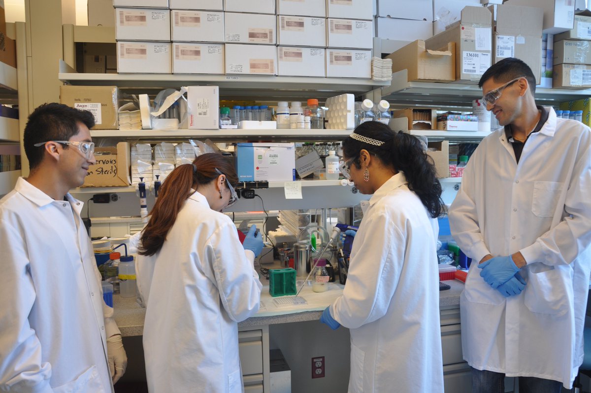 thestemcenter's tweet photo. Here are teachers getting expert #PD in the @regeneron lab as part of the Regeneron Teaching Fellowship. #REGeNSTEM https://t.co/Zi6iKrBcYV
