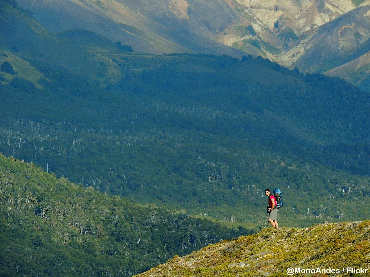 #Chile es un paraíso para los amantes de trekking. El 21.5% de la superficie del país esta compuesto por bosques.
