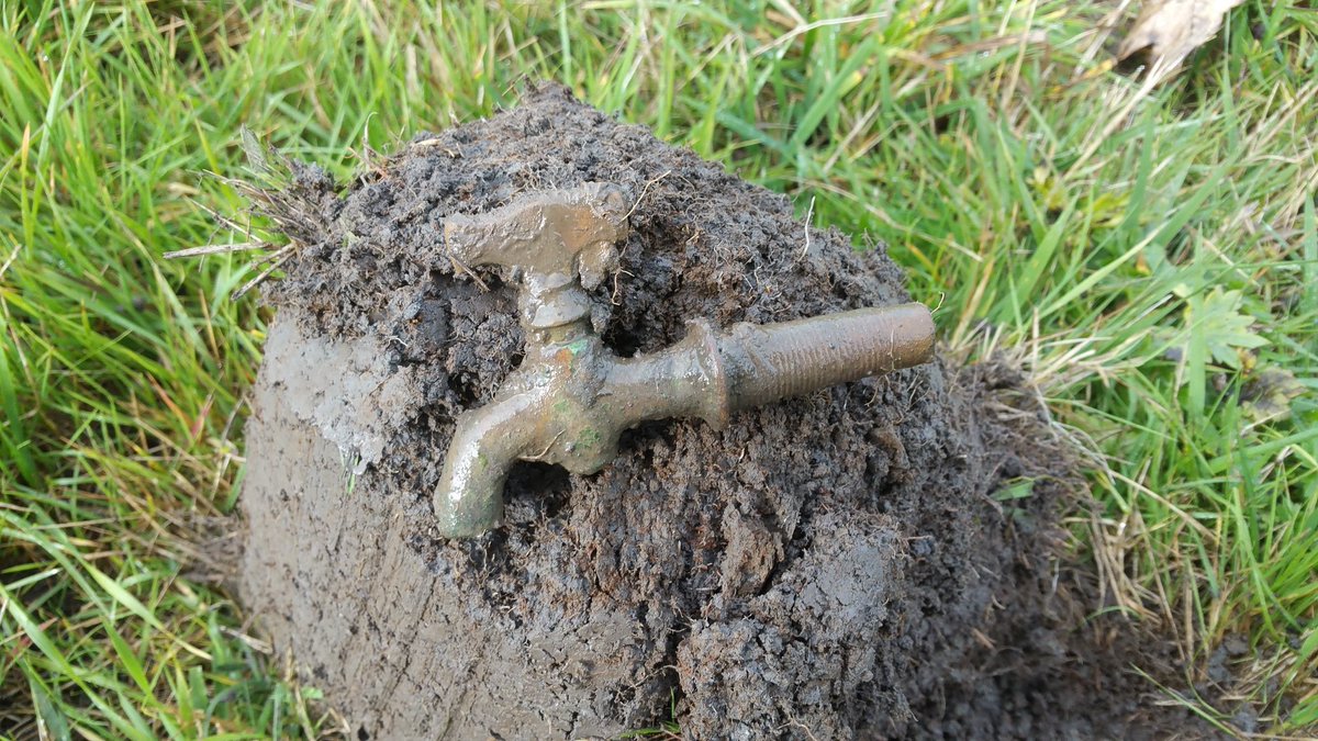 TimeDiggers's tweet image. 