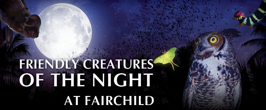 gabyov21's tweet image. #FriendlyCreatures @FairchildGarden this Thursday Oct 29! Bats, owls and bugs oh my!  Check: ow.ly/TRZAW